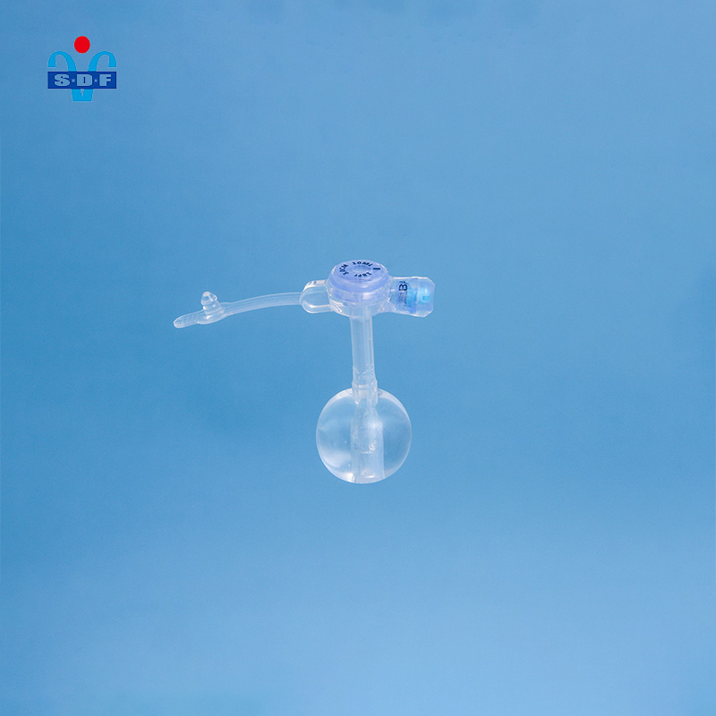 Button Gastrostomy Tube